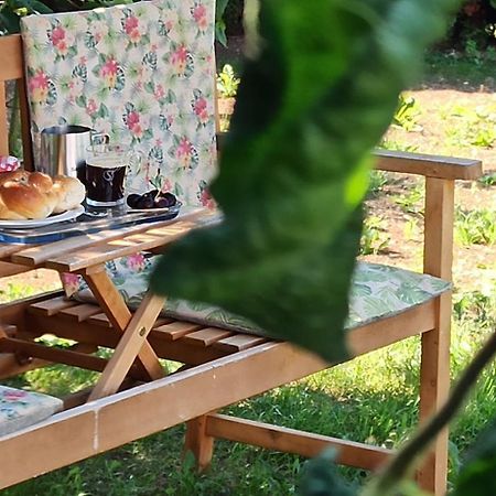 Alb-Biosphaere-Ferienwohnung Ingstetten Екстериор снимка