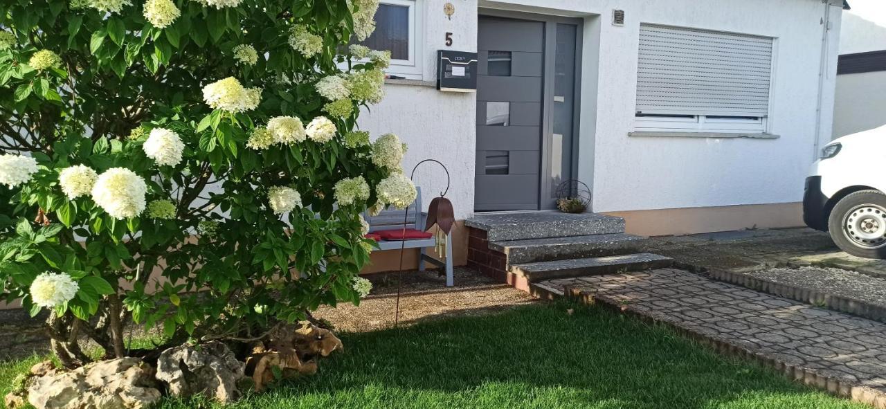 Alb-Biosphaere-Ferienwohnung Ingstetten Екстериор снимка